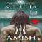 The Immortals of Meluha (Shiva Trilogy 1)